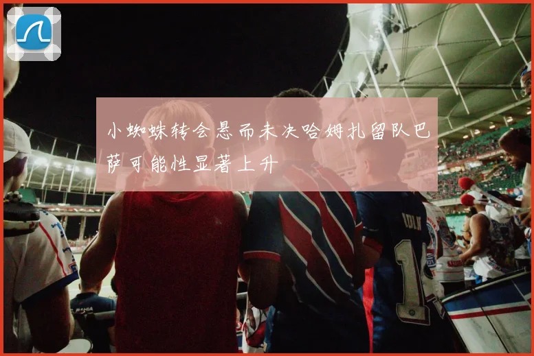 小蜘蛛转会悬而未决哈姆扎留队巴萨可能性显著上升