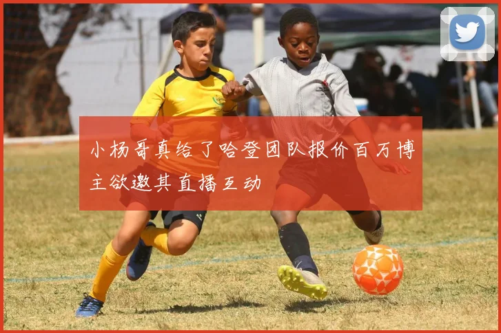 小杨哥真给了哈登团队报价百万博主欲邀其直播互动
